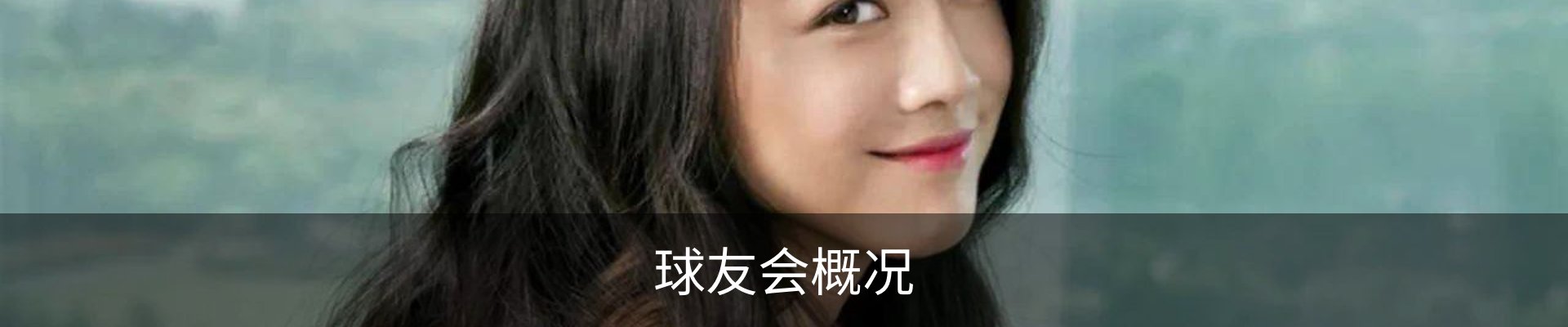 球友会概况